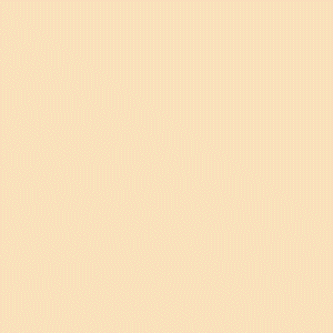 spot_img